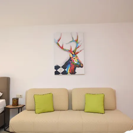 Studio Kitzview Apartment Kaprun