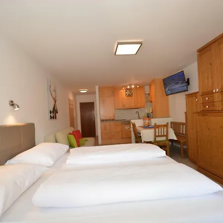 Studio Kitzview Apartment Kaprun